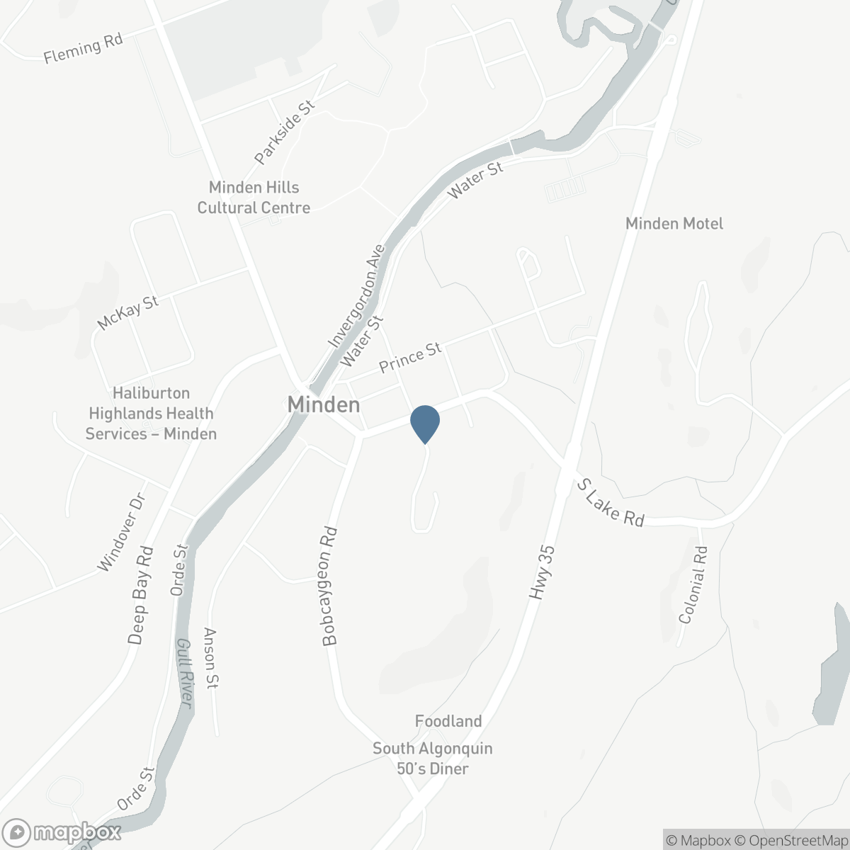 16 NEWCASTLE STREET, Minden Hills, Ontario K0M 2K0